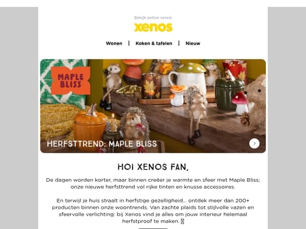 De NIEUWSTE  herfsttrend: Maple Bliss