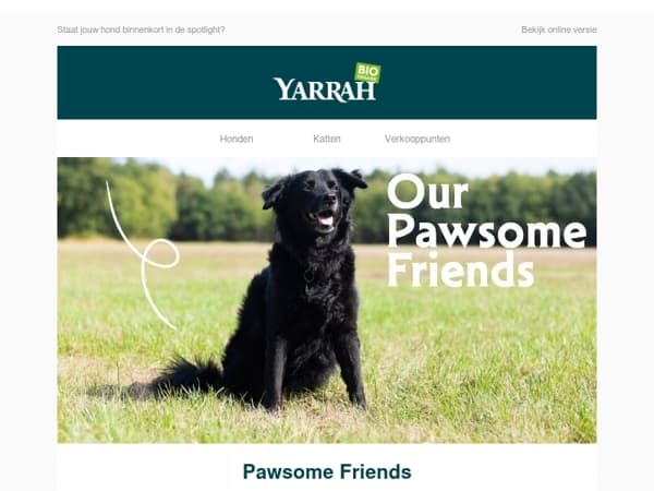 Staat jouw hond binnenkort in de spotlight?