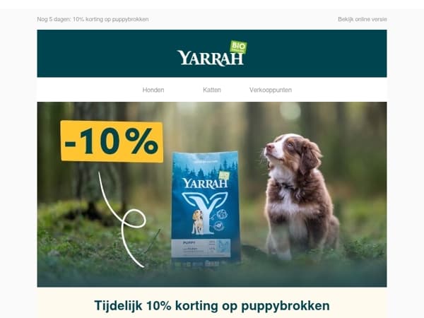 Nog 5 dagen: 10% korting op puppybrokken