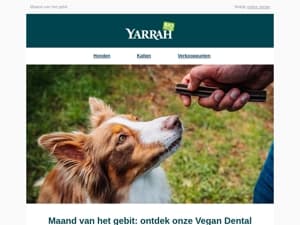 Zo houd je het gebit van je hond gezond