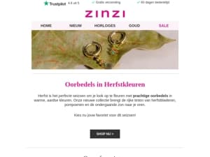 🍁Herfst oorbedels🍁