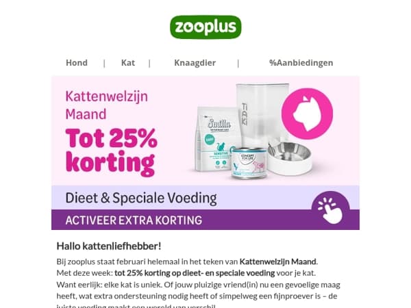 De maand van kattenwelzijn is van start!