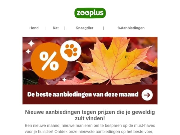  De beste aanbiedingen van deze maand op een rij