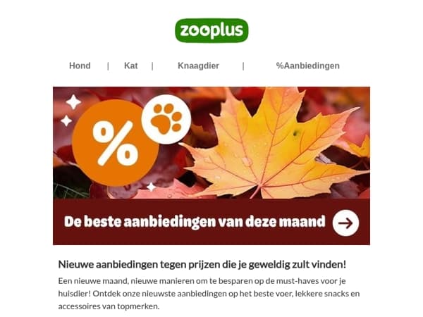  De beste aanbiedingen van deze maand op een rij