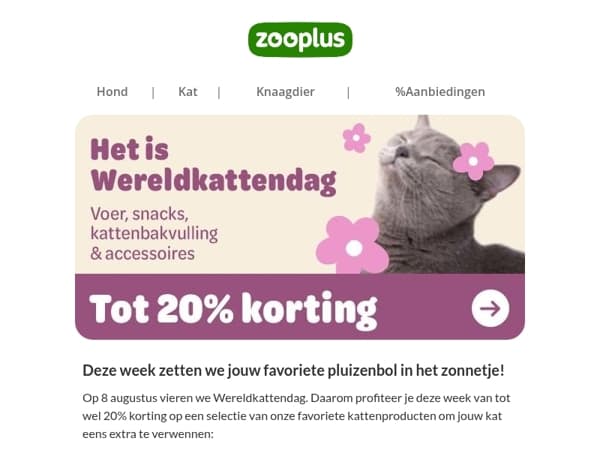 Wereldkattendag: profiteer deze week van tot wel 20% korting!
